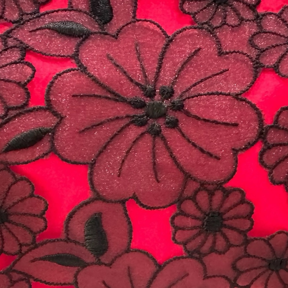 Options by Shani Red Black Lace Dress 10 - Picture 10 of 10